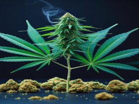 Imagem gerada por IA para ilustrar o conteúdo da Revista Ganja.