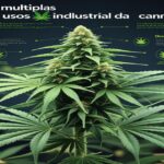 Imagem gerada por IA para ilustrar o conteúdo da Revista Ganja.