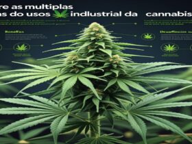 Imagem gerada por IA para ilustrar o conteúdo da Revista Ganja.