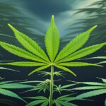 Imagem gerada por IA para ilustrar o conteúdo da Revista Ganja.
