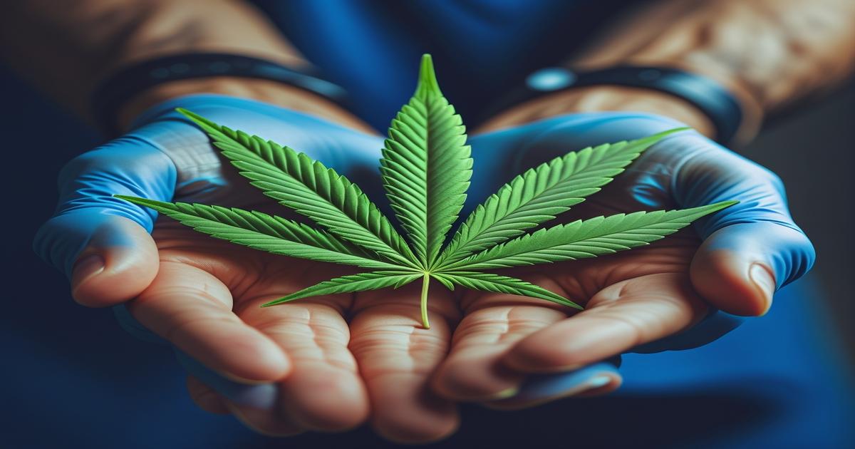 Imagem gerada por IA para ilustrar o conteúdo da Revista Ganja.