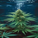 Imagem gerada por IA para ilustrar o conteúdo da Revista Ganja.