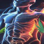 Imagem gerada por IA para ilustrar o conteúdo da Revista Ganja.