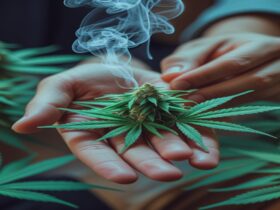 Imagem gerada por IA para ilustrar o conteúdo da Revista Ganja.