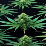 Imagem gerada por IA para ilustrar o conteúdo da Revista Ganja.