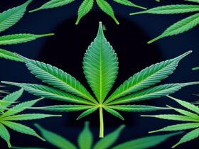 Imagem gerada por IA para ilustrar o conteúdo da Revista Ganja.