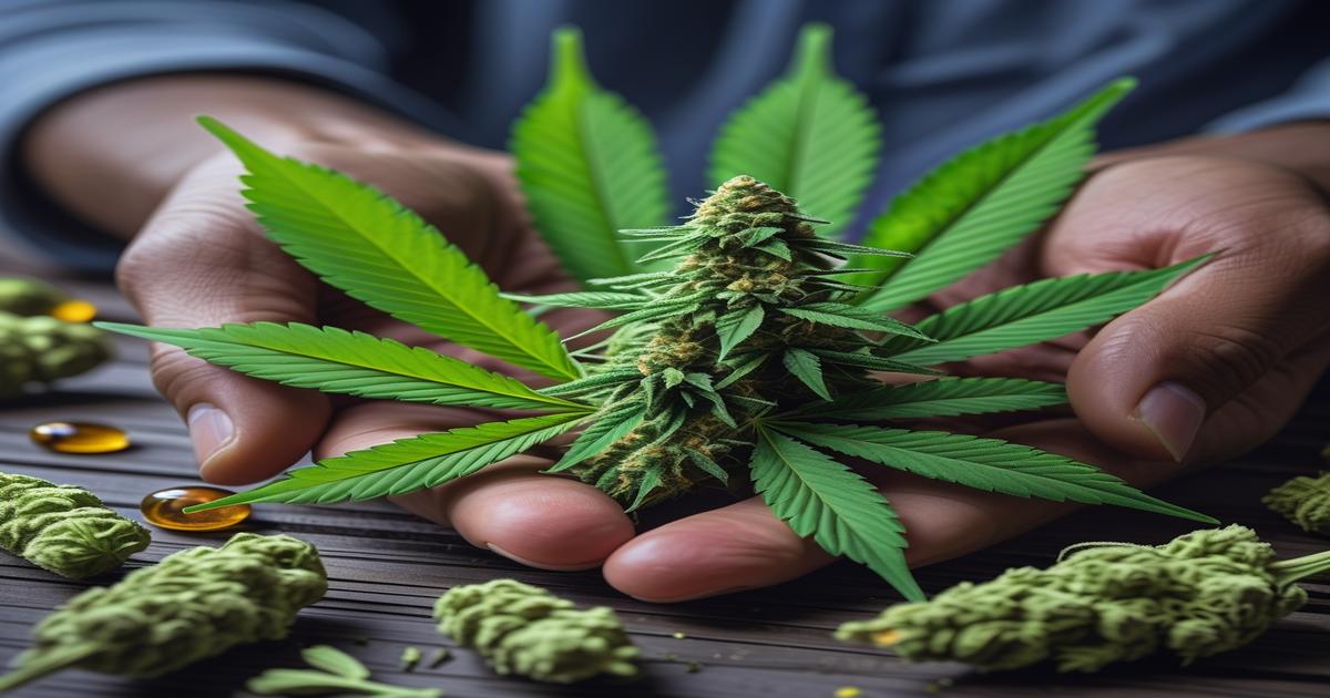 Imagem gerada por IA para ilustrar o conteúdo da Revista Ganja.