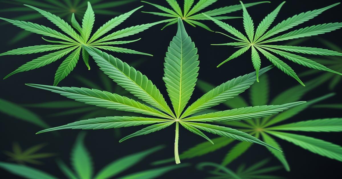 Imagem gerada por IA para ilustrar o conteúdo da Revista Ganja.