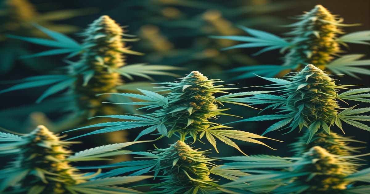 Imagem gerada por IA para ilustrar o conteúdo da Revista Ganja.