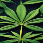 Imagem gerada por IA para ilustrar o conteúdo da Revista Ganja.