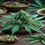 Imagem gerada por IA para ilustrar o conteúdo da Revista Ganja.