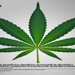 Imagem gerada por IA para ilustrar o conteúdo da Revista Ganja.