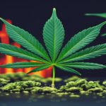 Imagem gerada por IA para ilustrar o conteúdo da Revista Ganja.