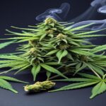 Imagem gerada por IA para ilustrar o conteúdo da Revista Ganja.