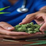 Imagem gerada por IA para ilustrar o conteúdo da Revista Ganja.