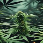 Imagem gerada por IA para ilustrar o conteúdo da Revista Ganja.