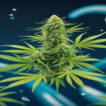 Imagem gerada por IA para ilustrar o conteúdo da Revista Ganja.