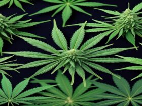 Imagem gerada por IA para ilustrar o conteúdo da Revista Ganja.