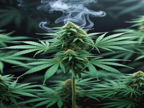 Imagem gerada por IA para ilustrar o conteúdo da Revista Ganja.