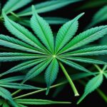 Imagem gerada por IA para ilustrar o conteúdo da Revista Ganja.