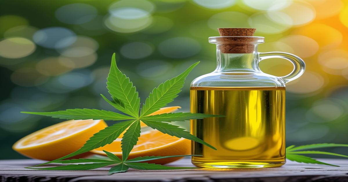Imagem gerada por IA para ilustrar o conteúdo da Revista Ganja.