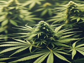 Imagem gerada por IA para ilustrar o conteúdo da Revista Ganja.