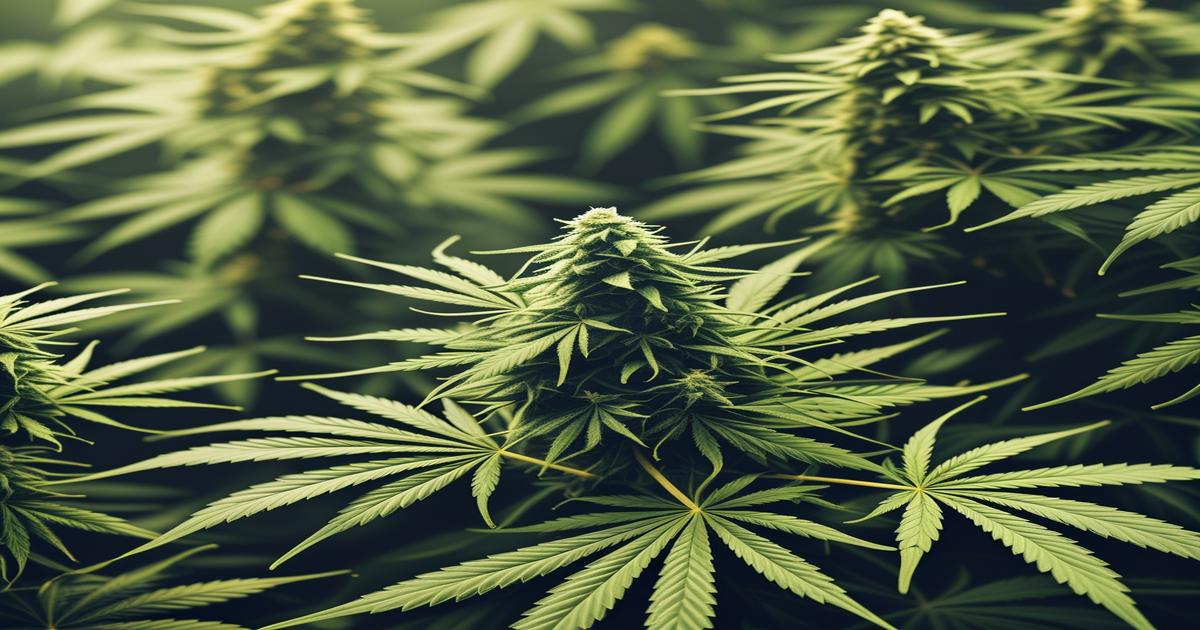 Imagem gerada por IA para ilustrar o conteúdo da Revista Ganja.