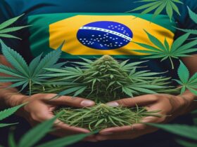 Imagem gerada por IA para ilustrar o conteúdo da Revista Ganja.