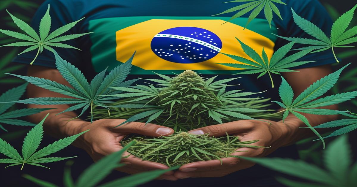 Imagem gerada por IA para ilustrar o conteúdo da Revista Ganja.