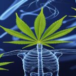 Imagem gerada por IA para ilustrar o conteúdo da Revista Ganja.