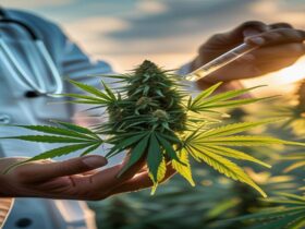Imagem gerada por IA para ilustrar o conteúdo da Revista Ganja.