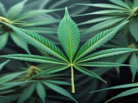 Imagem gerada por IA para ilustrar o conteúdo da Revista Ganja.