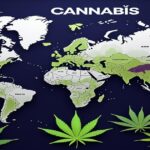 Imagem gerada por IA para ilustrar o conteúdo da Revista Ganja.