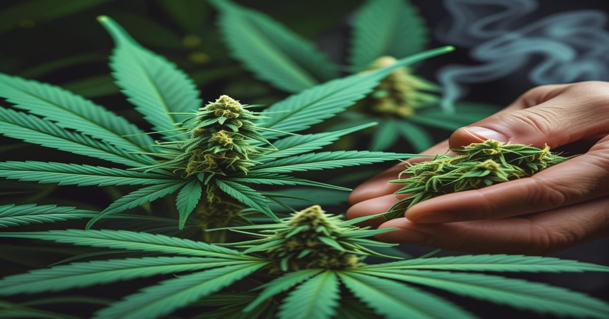 Imagem gerada por IA para ilustrar o conteúdo da Revista Ganja.