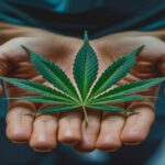 Imagem gerada por IA para ilustrar o conteúdo da Revista Ganja.