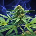 Imagem gerada por IA para ilustrar o conteúdo da Revista Ganja.