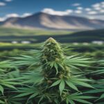 Imagem gerada por IA para ilustrar o conteúdo da Revista Ganja.