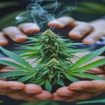 Imagem gerada por IA para ilustrar o conteúdo da Revista Ganja.