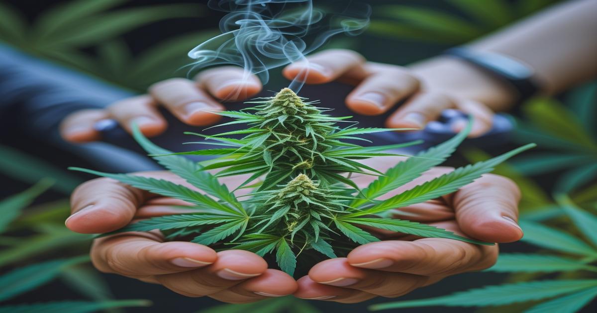 Imagem gerada por IA para ilustrar o conteúdo da Revista Ganja.