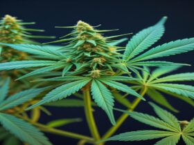 Imagem gerada por IA para ilustrar o conteúdo da Revista Ganja.