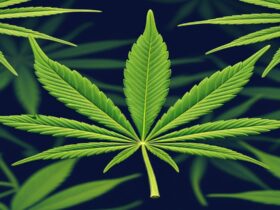 Imagem gerada por IA para ilustrar o conteúdo da Revista Ganja.