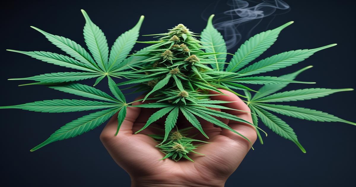 Imagem gerada por IA para ilustrar o conteúdo da Revista Ganja.