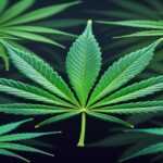 Imagem gerada por IA para ilustrar o conteúdo da Revista Ganja.