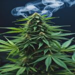 Imagem gerada por IA para ilustrar o conteúdo da Revista Ganja.