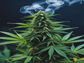 Imagem gerada por IA para ilustrar o conteúdo da Revista Ganja.