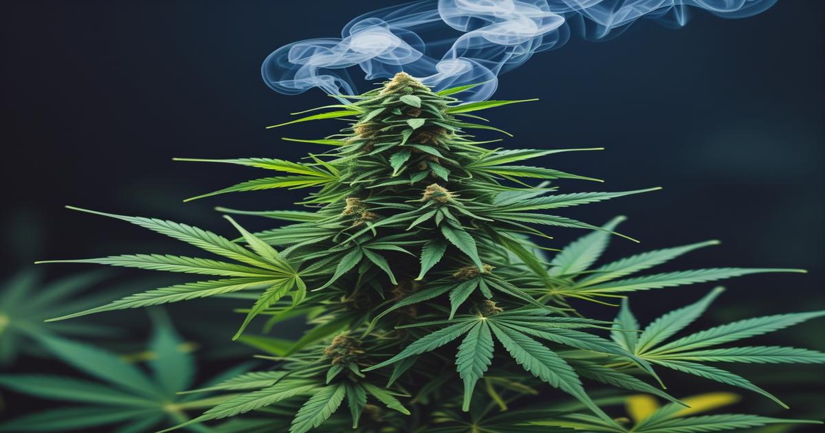 Imagem gerada por IA para ilustrar o conteúdo da Revista Ganja.
