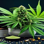 Imagem gerada por IA para ilustrar o conteúdo da Revista Ganja.
