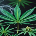 Imagem gerada por IA para ilustrar o conteúdo da Revista Ganja.