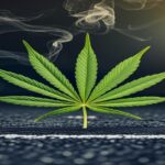Imagem gerada por IA para ilustrar o conteúdo da Revista Ganja.
