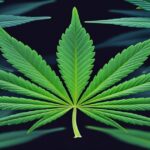 Imagem gerada por IA para ilustrar o conteúdo da Revista Ganja.